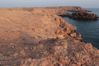 Réserve naturelle des îles Dimaniyat