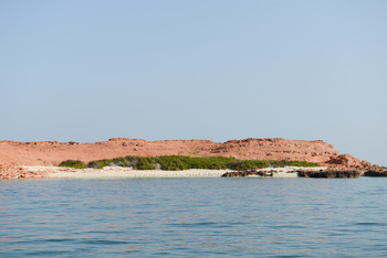Daymaniyat Islands Nature Reserve