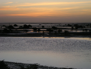  Al Wusta Wetlands Reserve