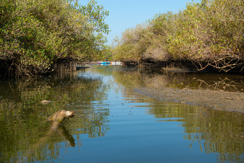 Réserve naturelle d’Al Qurm
