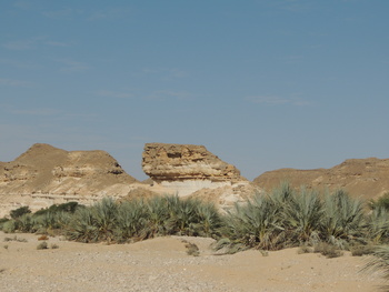 Jabal Samhan Nature Reserve