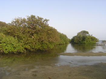 Reserva de Humedales