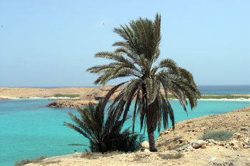 Daymaniyat Islands Nature Reserve