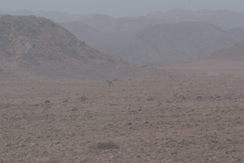 Reserva de Jabal Samhan