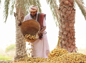 Al Tabsil (Hervir dátiles en agua) 