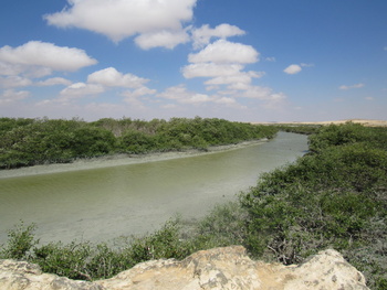 Reserva de Humedales