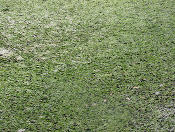 Réserve de zones humides