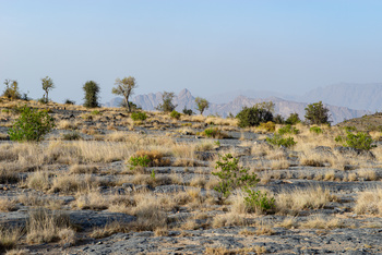 Al Jabal Al Gharbi Starlight Reserve