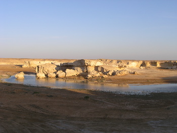  Al Wusta Wetlands Reserve