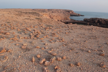 Daymaniyat Islands Nature Reserve