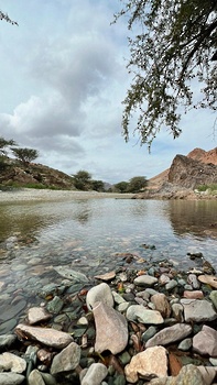 Reserva Natural de Al Sareen 