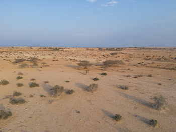 Réserve de Ras Al Shajar – Qurayat