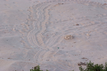 Daymaniyat Islands Nature Reserve