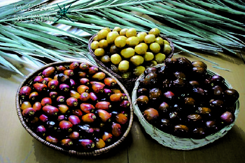 オマーン産のルタブ（熟したデーツ）