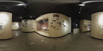Musée d\'histoire naturelle