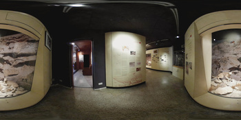 Musée d\'histoire naturelle