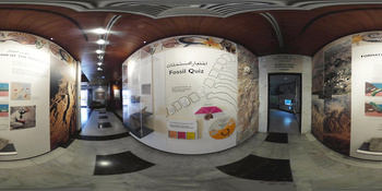 Musée d\'histoire naturelle