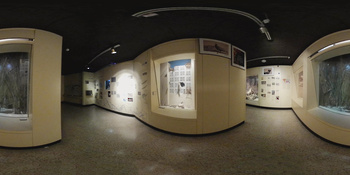Musée d\'histoire naturelle