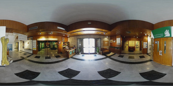 Musée d\'histoire naturelle