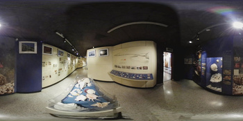 Musée d\'histoire naturelle