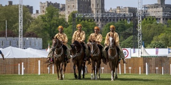 Chevaux et dromadaires 