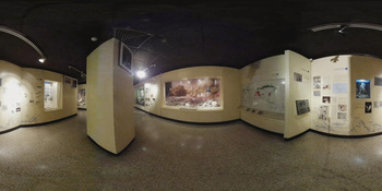 Musée d\'histoire naturelle