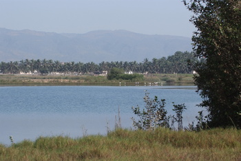 Naturreservat Khor Awqad