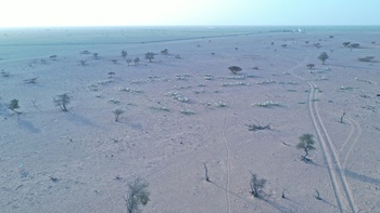 Naturreservat Al Wusta – Haima