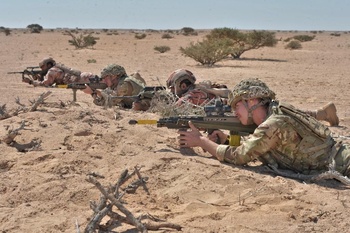 Manœuvres et exercices militaires conjoints 
