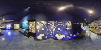 Musée d\'histoire naturelle