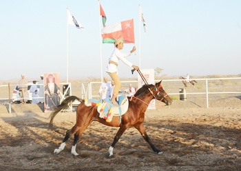 Chevaux et dromadaires 