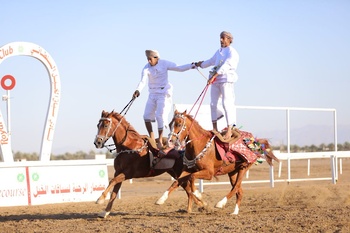 Chevaux et dromadaires 