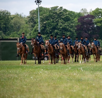 Chevaux et dromadaires 