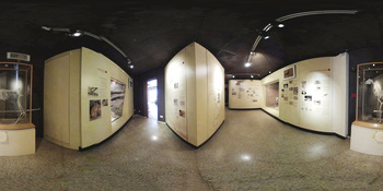 Musée d\'histoire naturelle