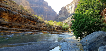Wadi Al Nakhr in der Wilayat Al Hamra