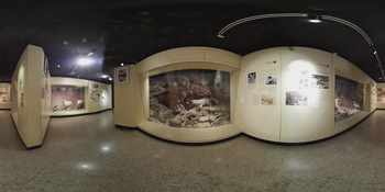 Musée d\'histoire naturelle