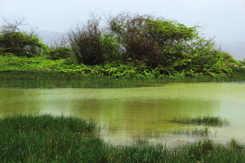Naturreservat Khor Souli