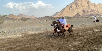 Camel Racing