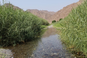 Wadi Al Abyad – Wilaya de Nakhal
